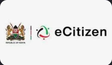 eCitizen logo